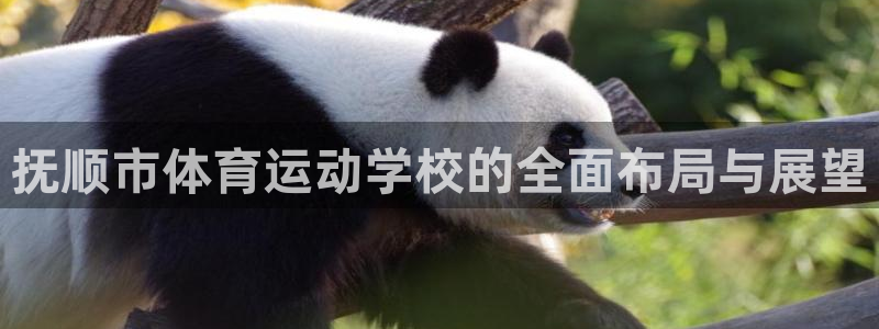 抚顺市体育运动学校的全面布局与展望