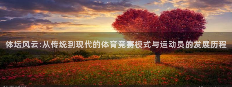 体坛风云:从传统到现代的体育竞赛模式与运动员的发展历程