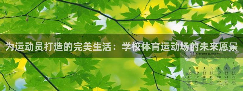为运动员打造的完美生活：学校体育运动场的未来愿景