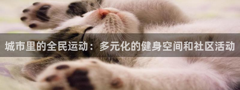 城市里的全民运动：多元化的健身空间和社区活动