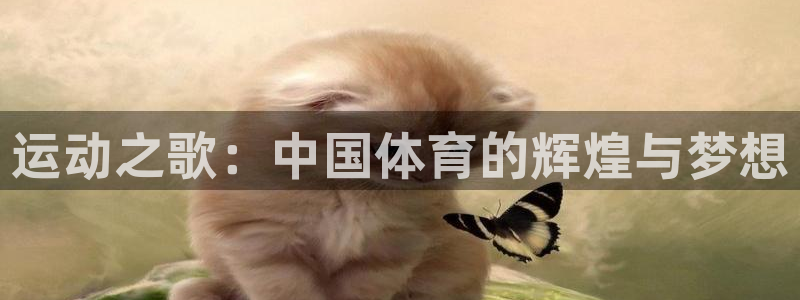 运动之歌：中国体育的辉煌与梦想