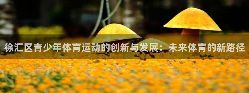 徐汇区青少年体育运动的创新与发展：未来体育的新路径