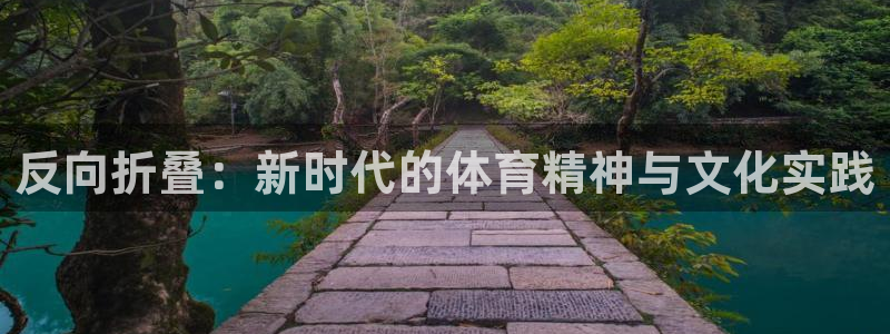 反向折叠：新时代的体育精神与文化实践
