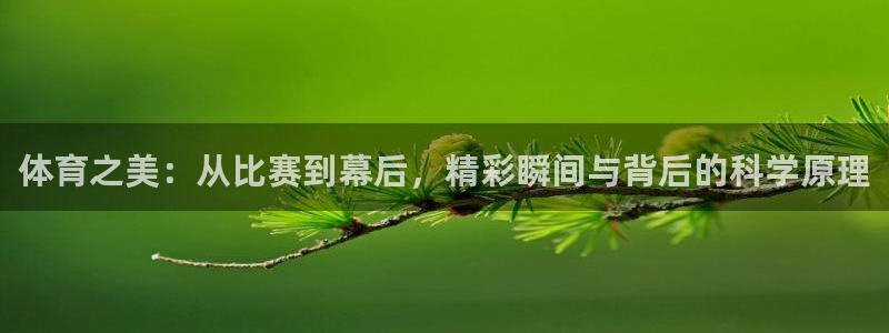 体育之美：从比赛到幕后，精彩瞬间与背后的科学原理