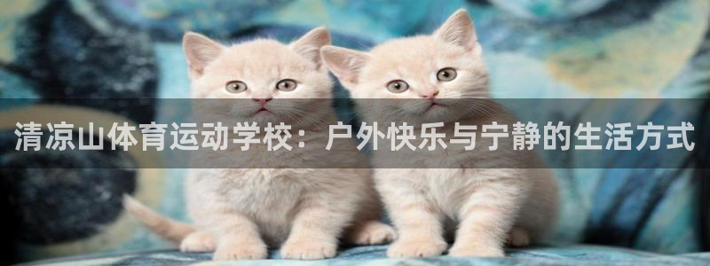 清凉山体育运动学校：户外快乐与宁静的生活方式