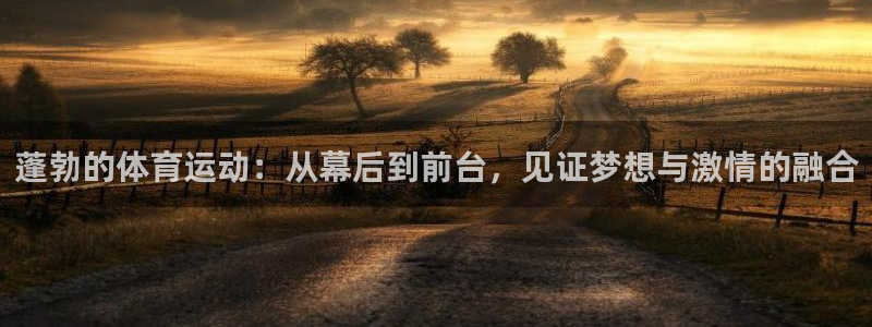 蓬勃的体育运动：从幕后到前台，见证梦想与激情的融合
