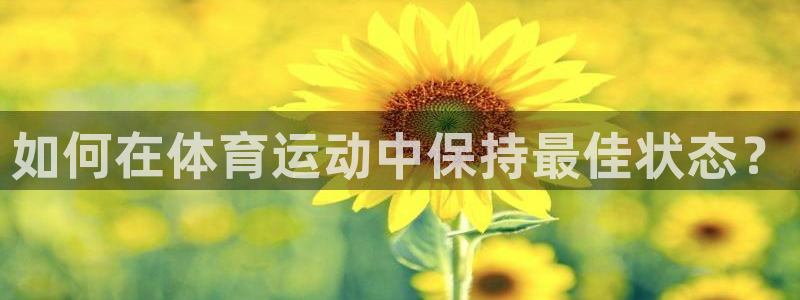如何在体育运动中保持最佳状态？